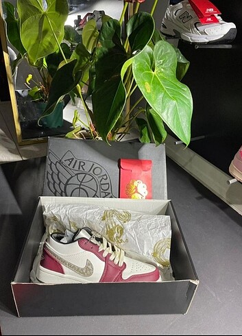 Nike Air Jordan dragon