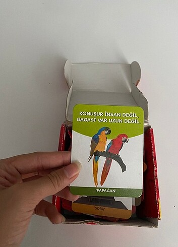 Eğitici kartlar