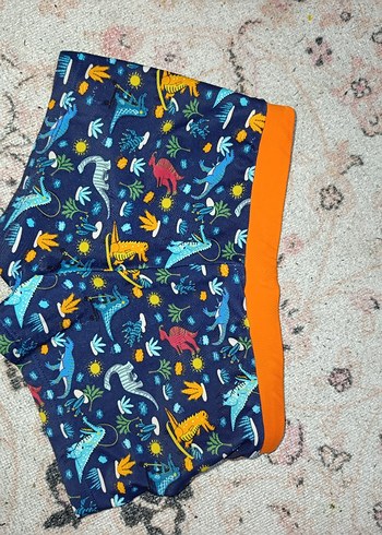 penti erkek çocuk slip mayo - Görsel 2