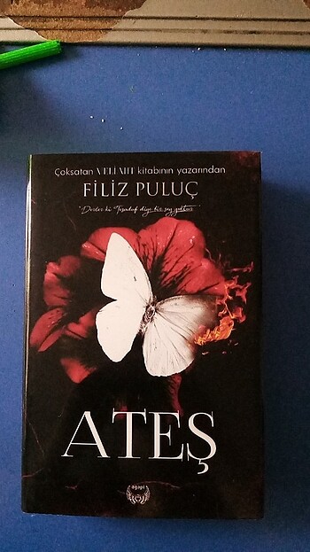 Filiz puluç ATEŞ 1