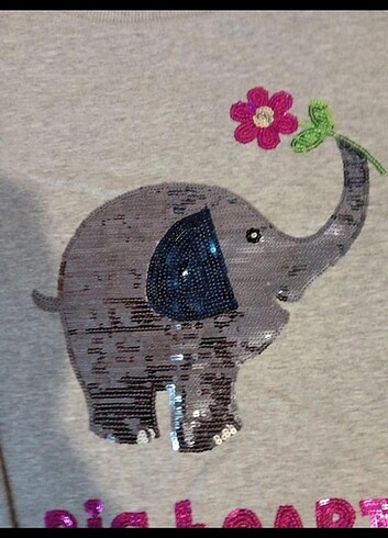 xl Beden gri Renk LCW XL BEDEN SWEATSHİRT