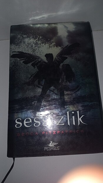 Hush hush serisi sessizlik 