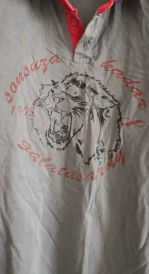 Uzun Kollu Gri Erkek taraftar Polo Tişört - Görsel 3