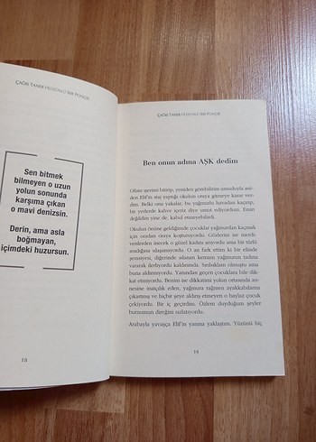 Hüzünlü Bir Ponçik - Çağrı Taner - Görsel 3