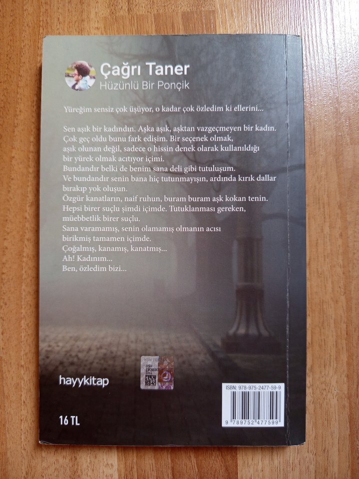 Hüzünlü Bir Ponçik - Çağrı Taner - Görsel 2