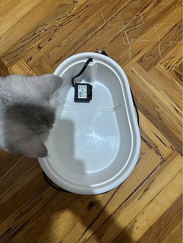  Beden Cado Pet Kedi Su Pınarı