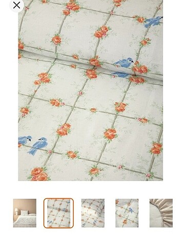 English Home English home tek kişilik nevresim takımı 