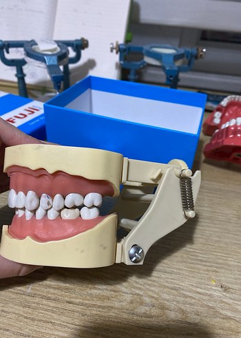 Fuji çene 28 
Dis hekimligi - Görsel 5