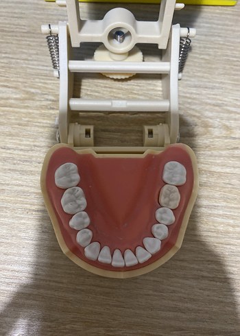 Fuji çene 28 
Dis hekimligi - Görsel 3