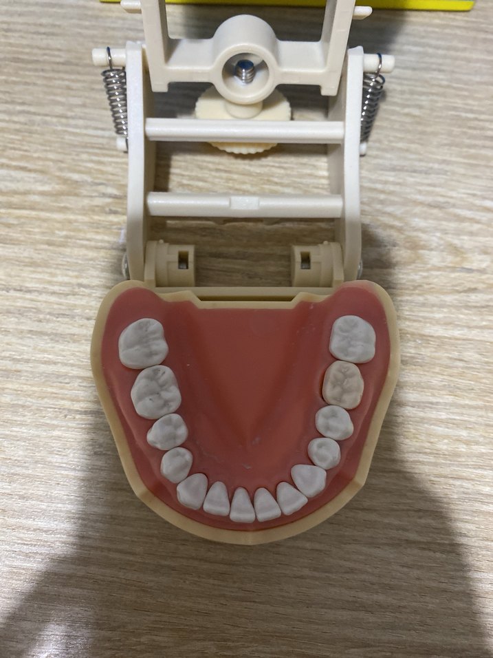 Fuji çene 28 
Dis hekimligi - Görsel 3