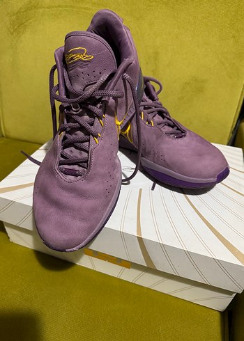 Nike Lebron Xxi
