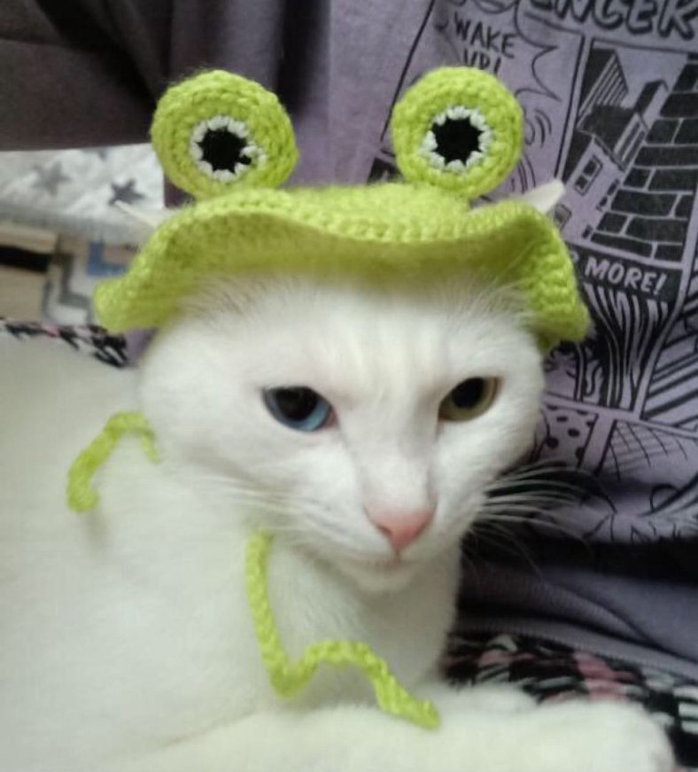 Sipariş Üzerine Örülür Kedi Şapkaları - Görsel 2