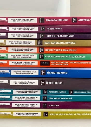 Haziran 2024 Hukuk Mesleklerine Giriş Sınavı Dergisi