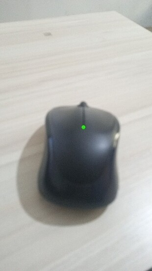 Mouse