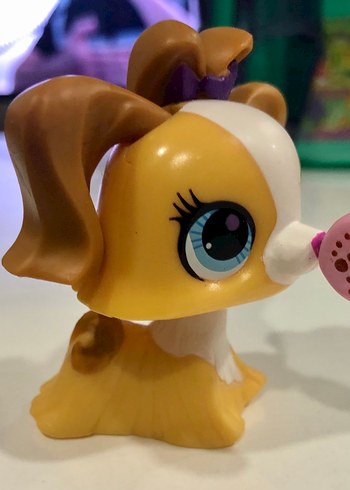 Lps maltese köpek minniş - Görsel 3