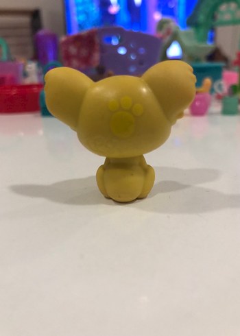 Lps minniş kaola - Görsel 2