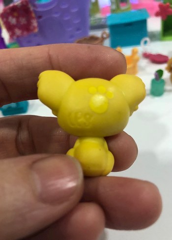 Lps minniş kaola - Görsel 3