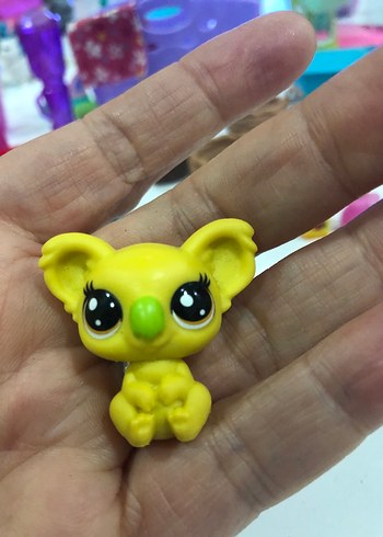 Lps minniş kaola - Görsel 4