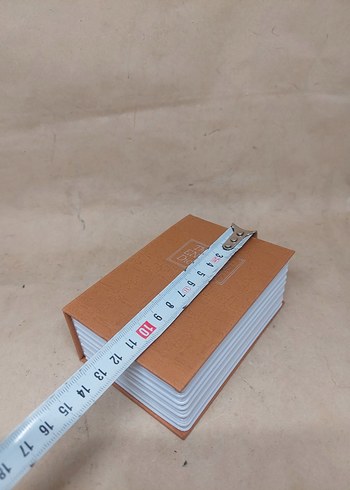 The New English Dictionary gizli kasa - Görsel 7