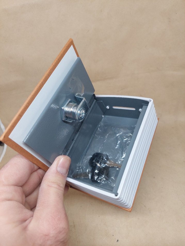 The New English Dictionary gizli kasa - Görsel 4