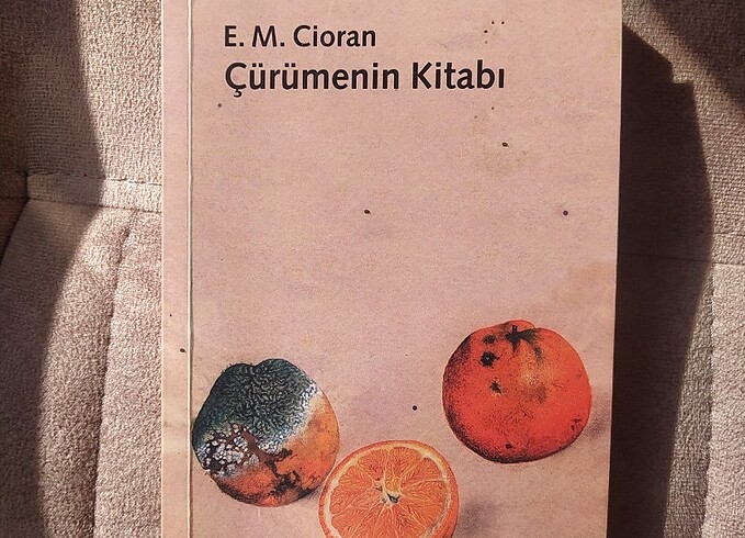 Çürümenin kitabı