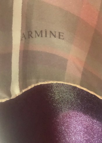 Kadın Çok Renkli Modern Şal - Görsel 2