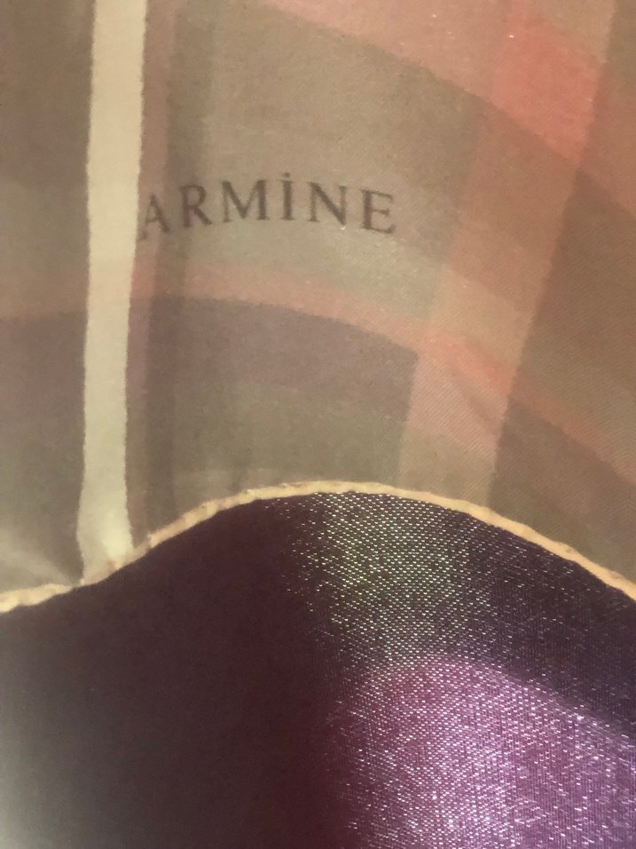 Kadın Çok Renkli Modern Şal - Görsel 2