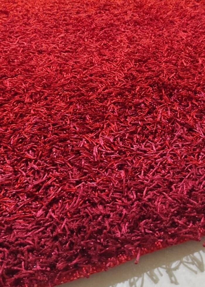 En 177 
Boy 244  hali - Görsel 2