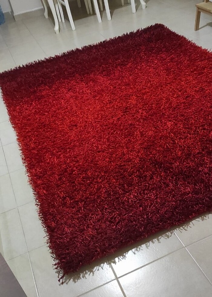 En 177 
Boy 244  hali - Görsel 4