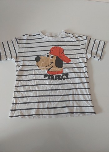 Beyaz Baskılı Erkek Çocuk Kısa Kollu Tişört - Görsel 7