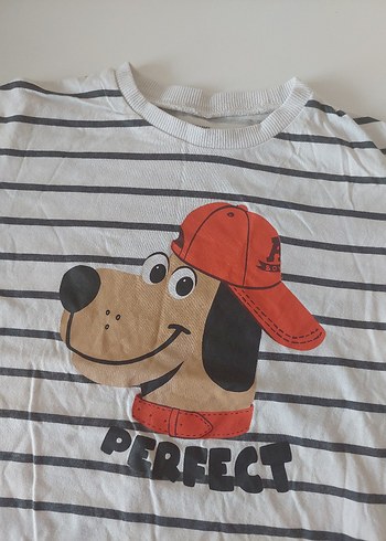 Beyaz Baskılı Erkek Çocuk Kısa Kollu Tişört - Görsel 6