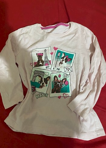 Kız Çocuk Uzun Kollu Baskılı Pembe Tişört - Görsel 2