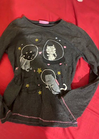 Kız Çocuk Gri Baskılı Uzun Kollu Tişört - Görsel 2