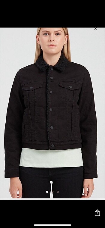 Levis mont