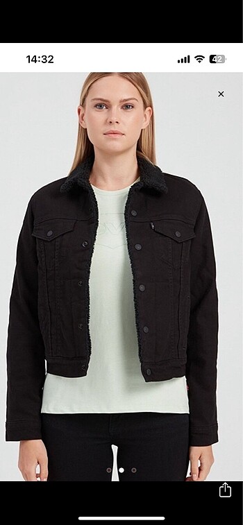 Levis Levis mont