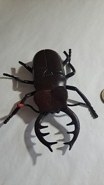 Şaka OYUNCAĞI - Görsel 3