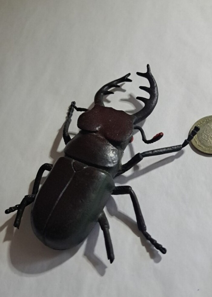 Şaka OYUNCAĞI - Görsel 4