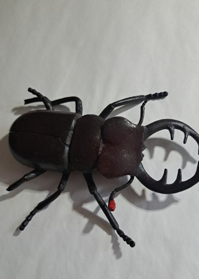 Şaka OYUNCAĞI - Görsel 5