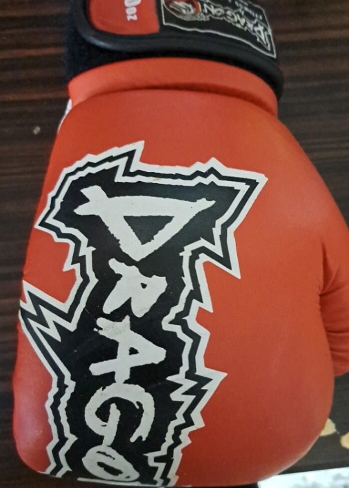 Dragon eldiven  - Görsel 2