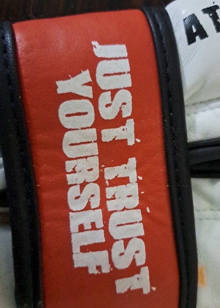 Dragon eldiven  - Görsel 3