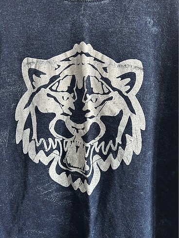 Zara Zara Tshirt