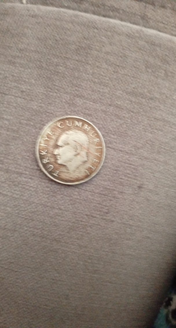 Gri Vintage 100 Lira - Görsel 2