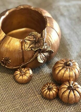 Balkabağı skulent saksı