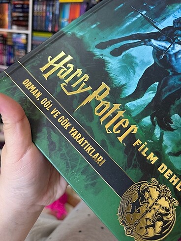 Beden Renk Harry Potter Film Dehlizi 1