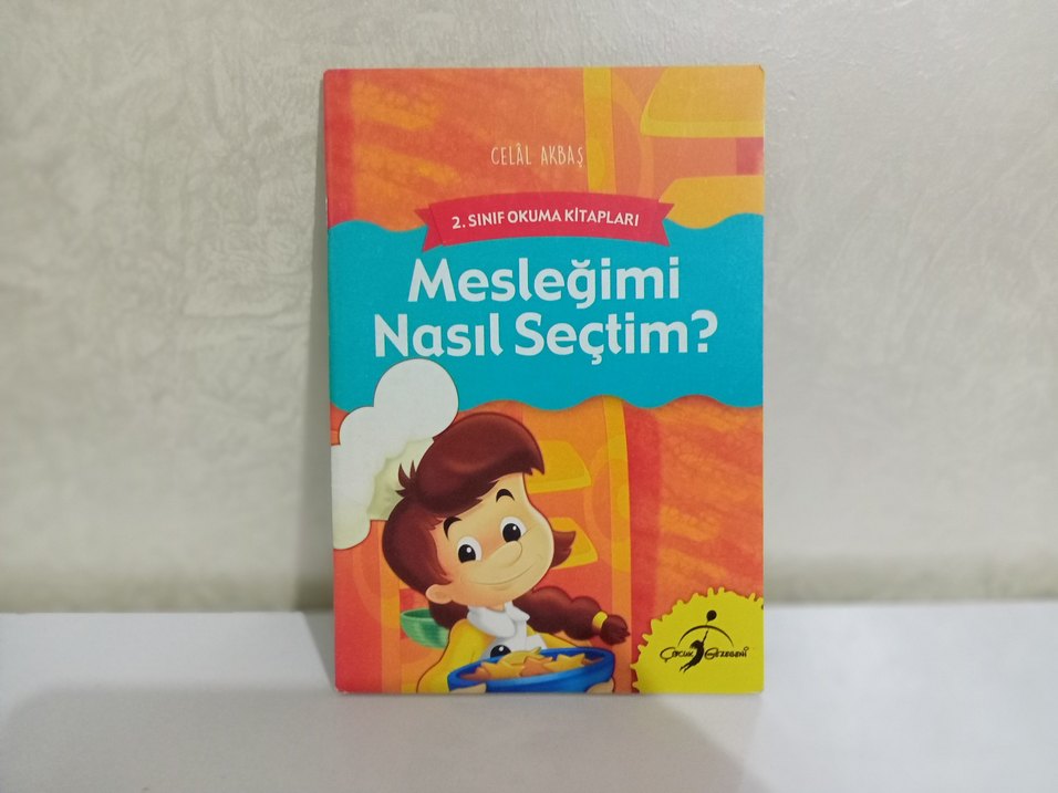Mesleğimi Nasıl Seçtim? - Görsel 3