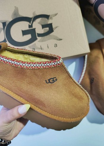 Ugg UGG TAZZ TABA