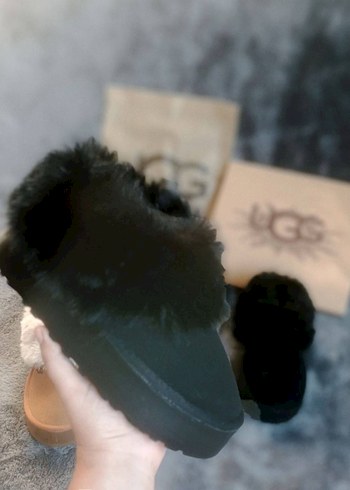 Ugg Tazella