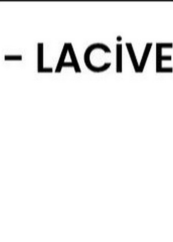 40 Beden lacivert Renk Lacivert Piliseli Uzun Kadın Elbise