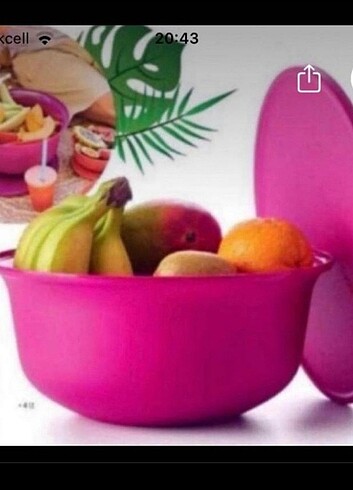 Tupperware aloha serisi 4 lt