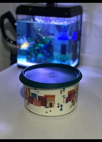 Mickey mouse saklama kabı 